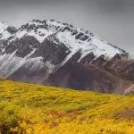 Looking for Alaska - kurze Inhaltsangabe / Zusammenfassung